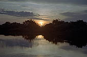 Tonle Sap - Prek Toal 'bird sanctuary' - sunrise on the inundated forest 